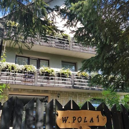 Pokoje Goscinne U Gochy Ustrzyki Dolne Esterno foto
