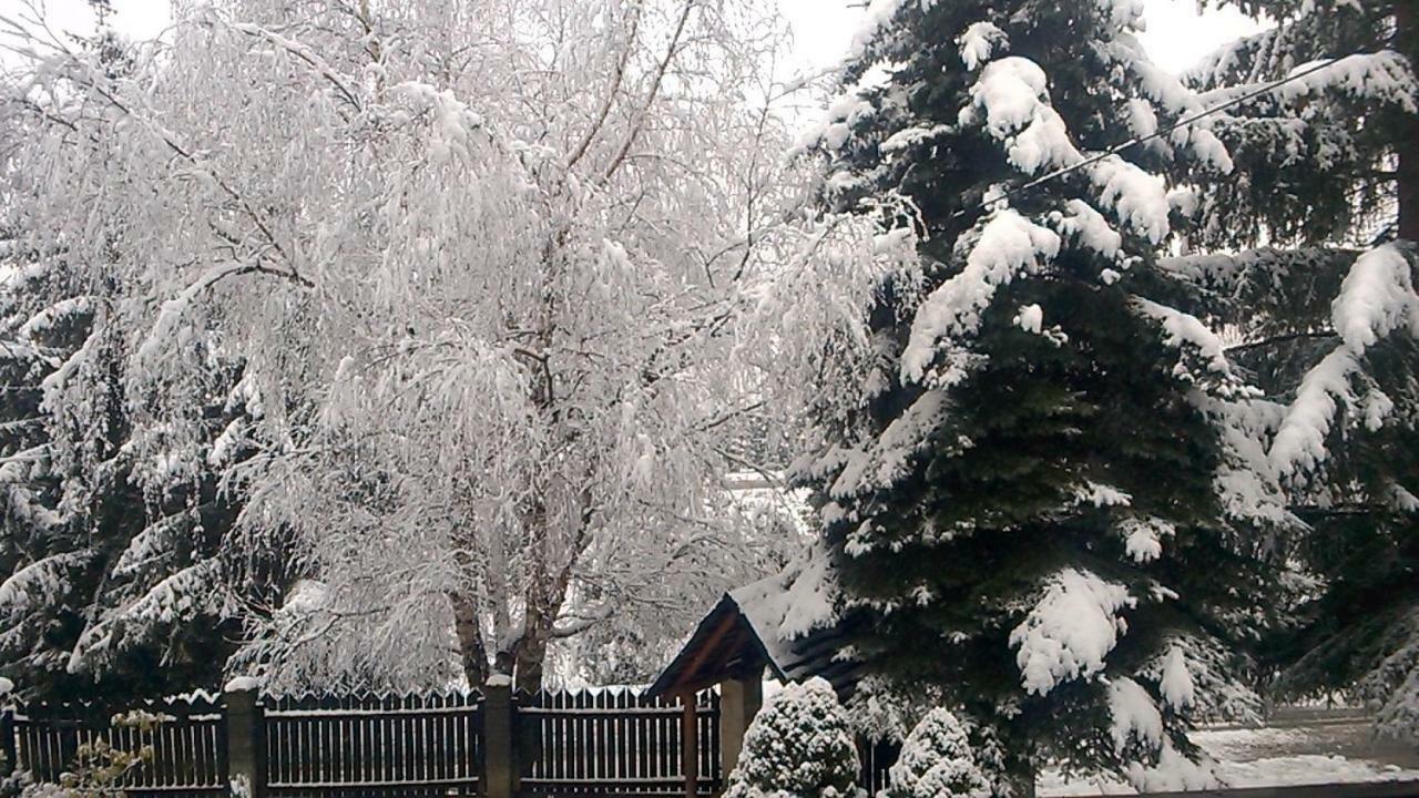 Pokoje Goscinne U Gochy Ustrzyki Dolne Esterno foto